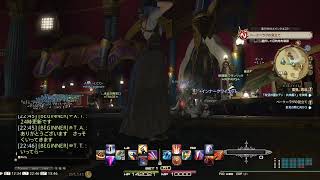 #9 ff14 パッチ5.3初見でだらだら攻略していく