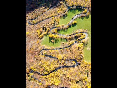 Drumul Generalului Munții Apuseni