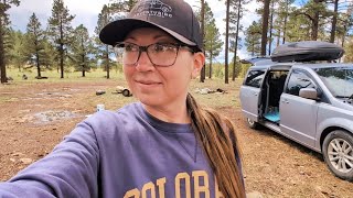 Majestic Mountain Boondocking in Greer, AZ | Peace & Serenity of Solo Female Van Life in the Forest