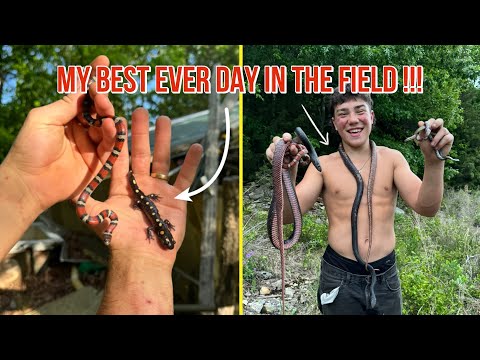 INSANE Ozark Herping !! 🤯 Milksnakes, Coachwhips and So Much More !!