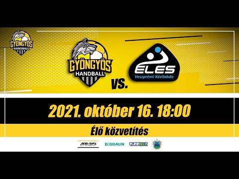 HE-DO B. Braun Gyöngyös - Fejér-B.Á.L. Veszprém