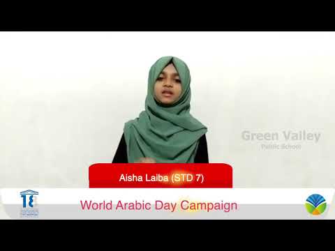 Arabic Day Campaign | Aisha Laiba
