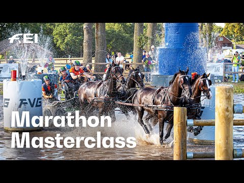 Behind the Reins – Bram Chardon’s Deep Dive into Marathon Driving 🤩 | Exclusive Course Walk