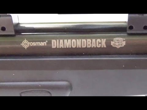 Crosman DIAMONDBACK .22CAL PELLET RIFLE REVIEW/How Powerful is a 22cal pellet rifle