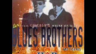 Blues Brothers and Friends - Live from The House Of Blues - Blues Why You Worry Me