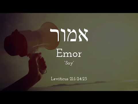 Emor - Free Biblical Hebrew Lessons, Learn Trope