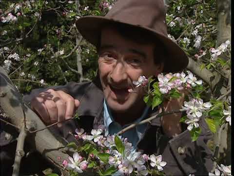 C'est pas sorcier -C'EST LE PRINTEMPS !