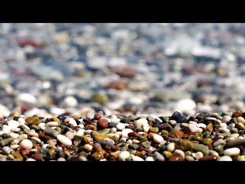 022 SDA Hymn - God is Our Song (Singing w/ Lyrics)