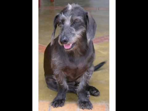 FatBoy Slim feat. Shitara