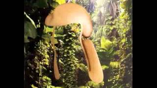 NON-INSTRUCTIONAL SLIDESHOW OF 200 COLLAGISTS, 2010