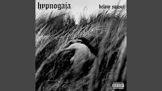 Music video thumbnail preview for Normal On The Outside by Hypnogaja