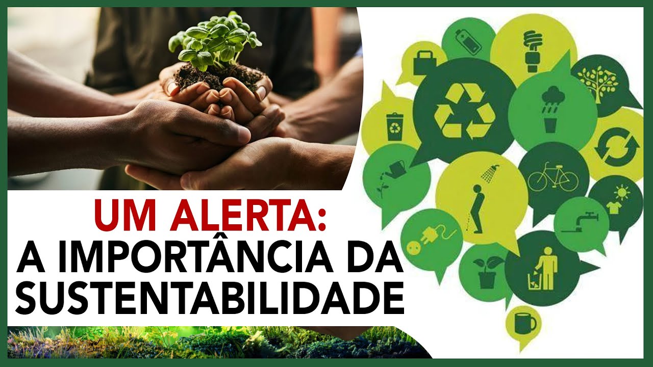 Um alerta: a importância da sustentabilidade