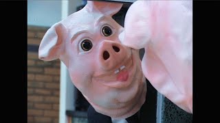 Fan Girl – “little pig”