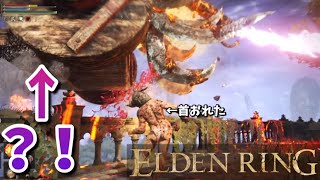 【エルデンリング】柵の上に顔面兵器が乗るのは犯罪ですか？ #10 ELDEN RING 実況プレイ