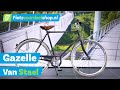 Gazelle Van Stael 2024