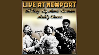 Where's My Woman Been