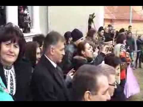 Făşangii de la Cetea