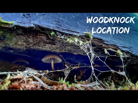 Return to Woodknock Location