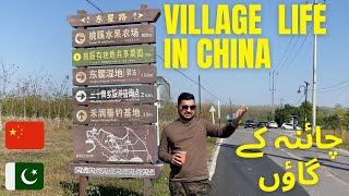 Village Life in China | Chinese Countryside | #culturalexperiences #VillageLife #ChineseVillages