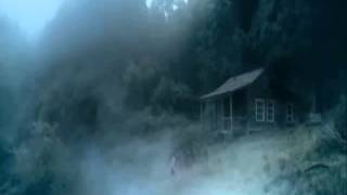 Angel Olsen - Windows