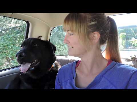 Salt & Tar Episode 31 - Part 1: Cabin Re-Remodel