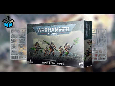 Necron Lychguard / Triarch Praetorians Unpack (NEW 9th edition repack)
