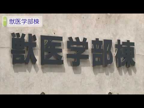 麻布大学 獣医学部棟