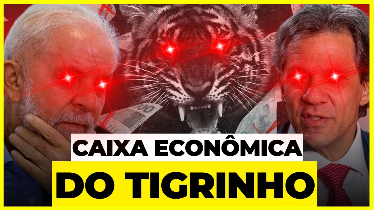 THE GOVERNMENT will have a BETTING HOUSE - UNDERSTAND THE CASE