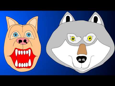 Dog and Wolf Singing Duet Animated Wild Pets Lip Sync Original Music Tune Song Full Lyrics Subtitles