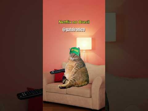 NETFLIX NO BRASIL TEM SUA BATIDA ESPECIAL