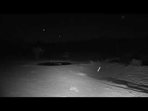 Djuma: Sights and sounds - 02:53 - 11/16/19