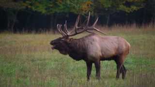 Seasons of the Smokies - Autumnal Equinox Sequence