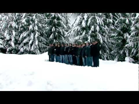 Cor barbatesc Moisei - Se aude glas de vesnicii