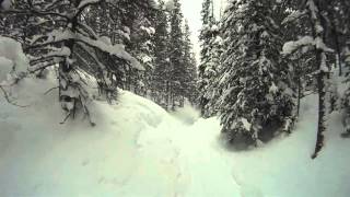 Della Mae - Hounds - Breckenridge, Colorado