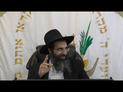 נח לשמים ונח לבריות | הרב שי עובד | שני - פרשת נח - תשפג