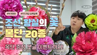 조선 왕실의 꽃 목단 20종 본격 소개! | 동양의 아름다움을 찾을 수 있는 컬러풀하고 화려한 꽃이 가득 ?…