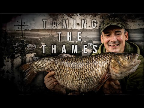 Taming The Thames | Alan Stagg | 8lb+ Chub