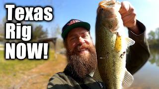 NOW Is The Time To Start Fishing For Bass With A TEXAS RIG