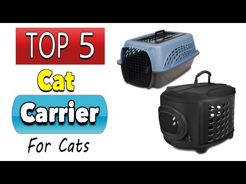 Best Cat Carrier For Cats Who Hate Carries