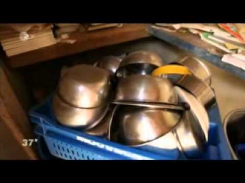 37 Grad - Gekaufte Kinder