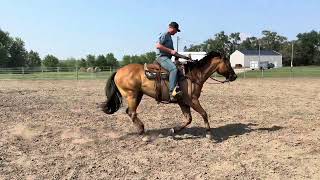 Video 1