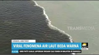 Download lagu Viral Fenomena Air Laut Beda Warna mp3