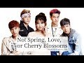 HIGH4, IU - 봄 사랑 벚꽃 말고(Not Spring, Love, or ...