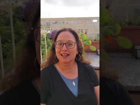 המלצת בוגרים