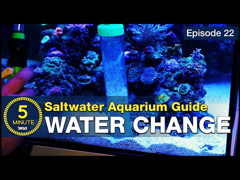 Change your saltwater aquarium water and change your reefing hobby life!