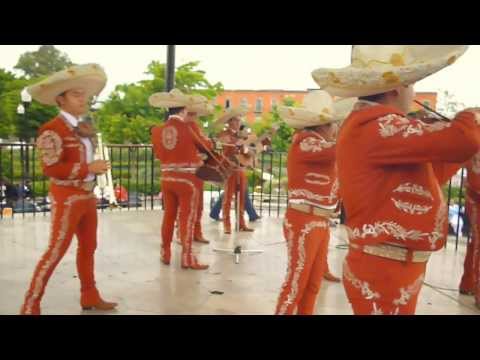 Mariachi Real de Oro Tema y Popurri de Sones en Zapopan