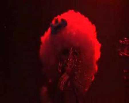 Leroy Styles - Frodo