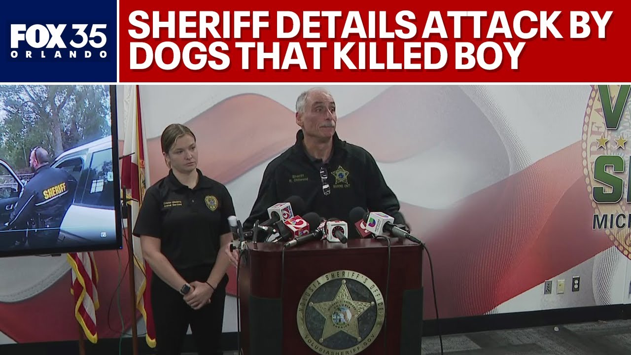 Florida boy killed by dogs, Volusia County sheriff says; owner facing unrelated charges | FULL