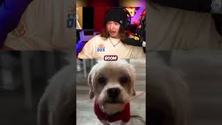 Download lagu BOOM #BOOM #jimmyhere #jimmy #ylyl #youlaughyoulose #funny #1v1 #memereaction mp3