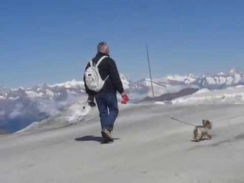 Mit dem Postauto von Brig nach Saas-Fee